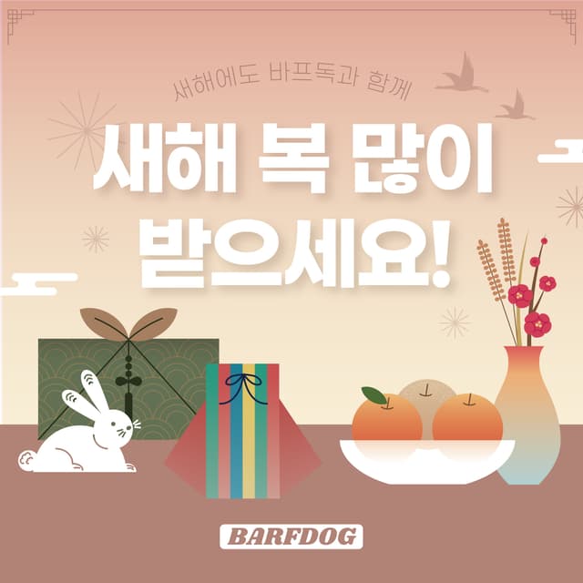 바프독 인스타그램 이미지-10