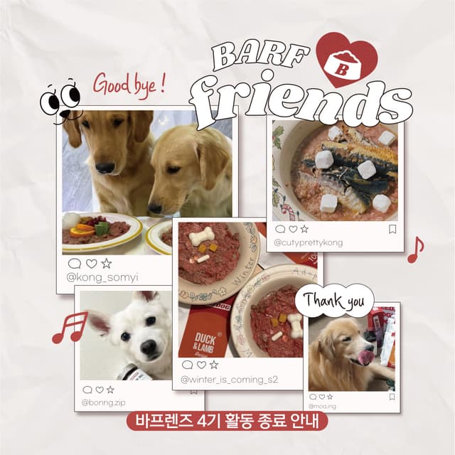 바프독 인스타그램 이미지-2