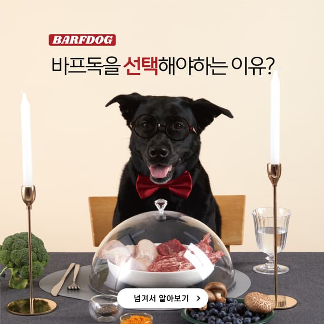 바프독 인스타그램 이미지-4